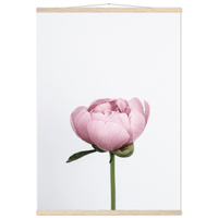 622eb9f4-0d36-4196-b3bf-c9009fa892a5