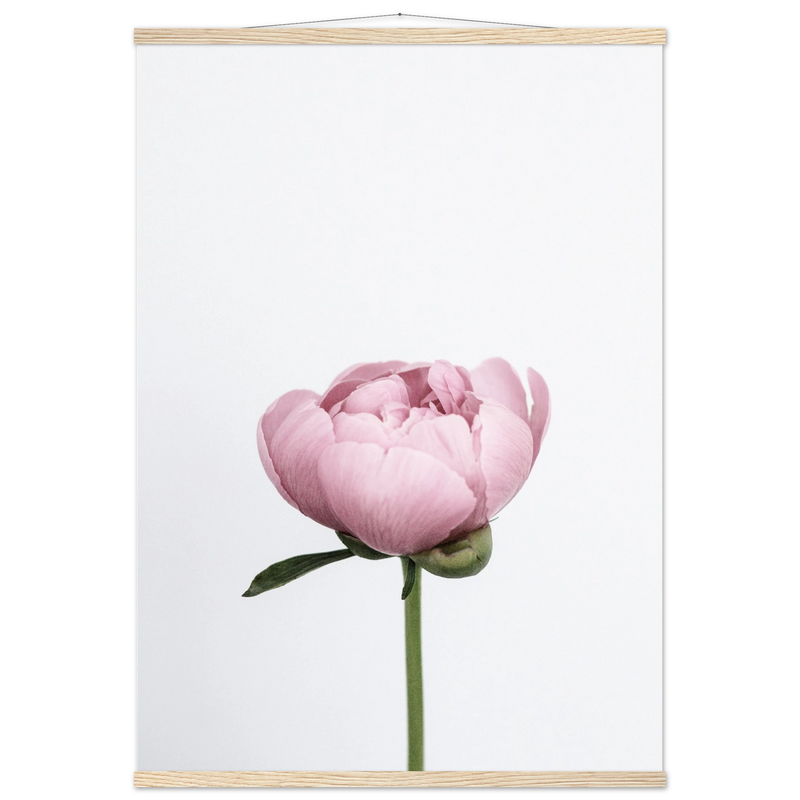 622eb9f4-0d36-4196-b3bf-c9009fa892a5