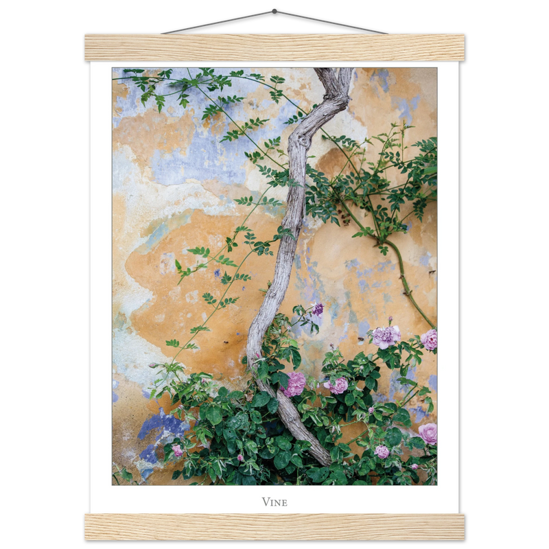 62c0f36a-9ed4-4ac0-bbf1-41f4dd3ca897