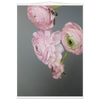 641292a6-a90d-44db-aea6-48a6e1bfb4de