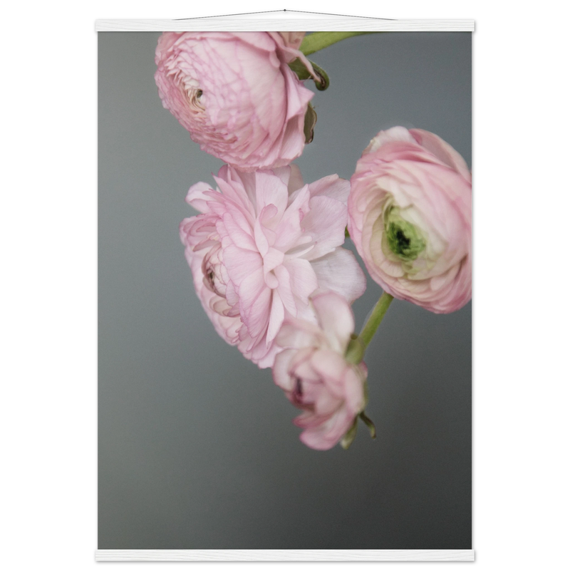 641292a6-a90d-44db-aea6-48a6e1bfb4de