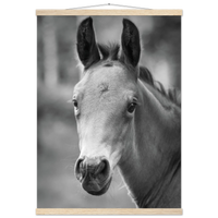 644c4dee-fa8a-4308-a308-b9e35f51b09a