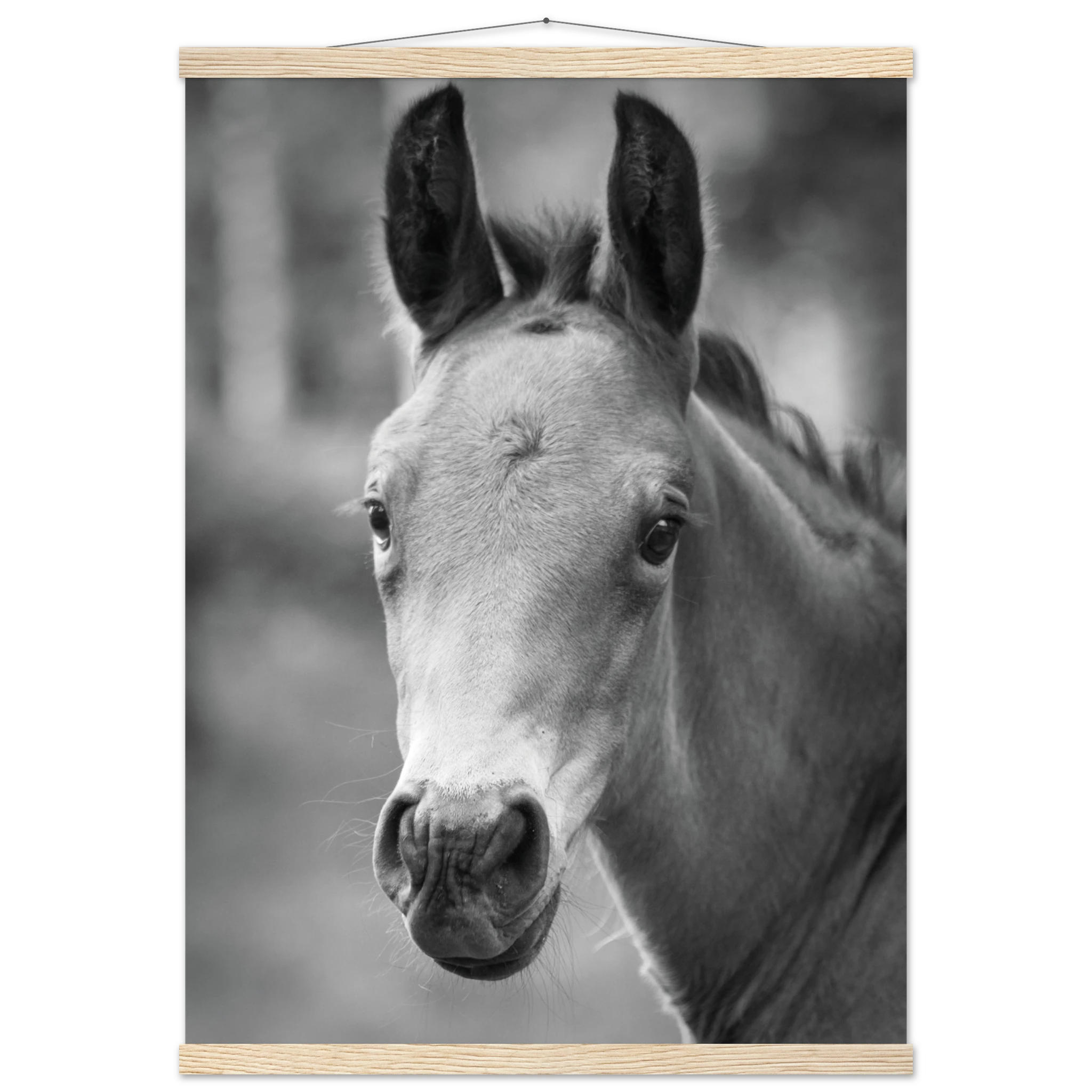 644c4dee-fa8a-4308-a308-b9e35f51b09a