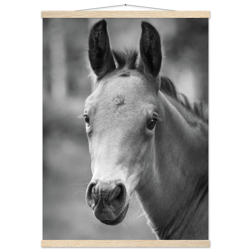 644c4dee-fa8a-4308-a308-b9e35f51b09a