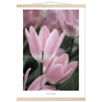 6523c854-aba9-4fa5-800e-eab200d53323