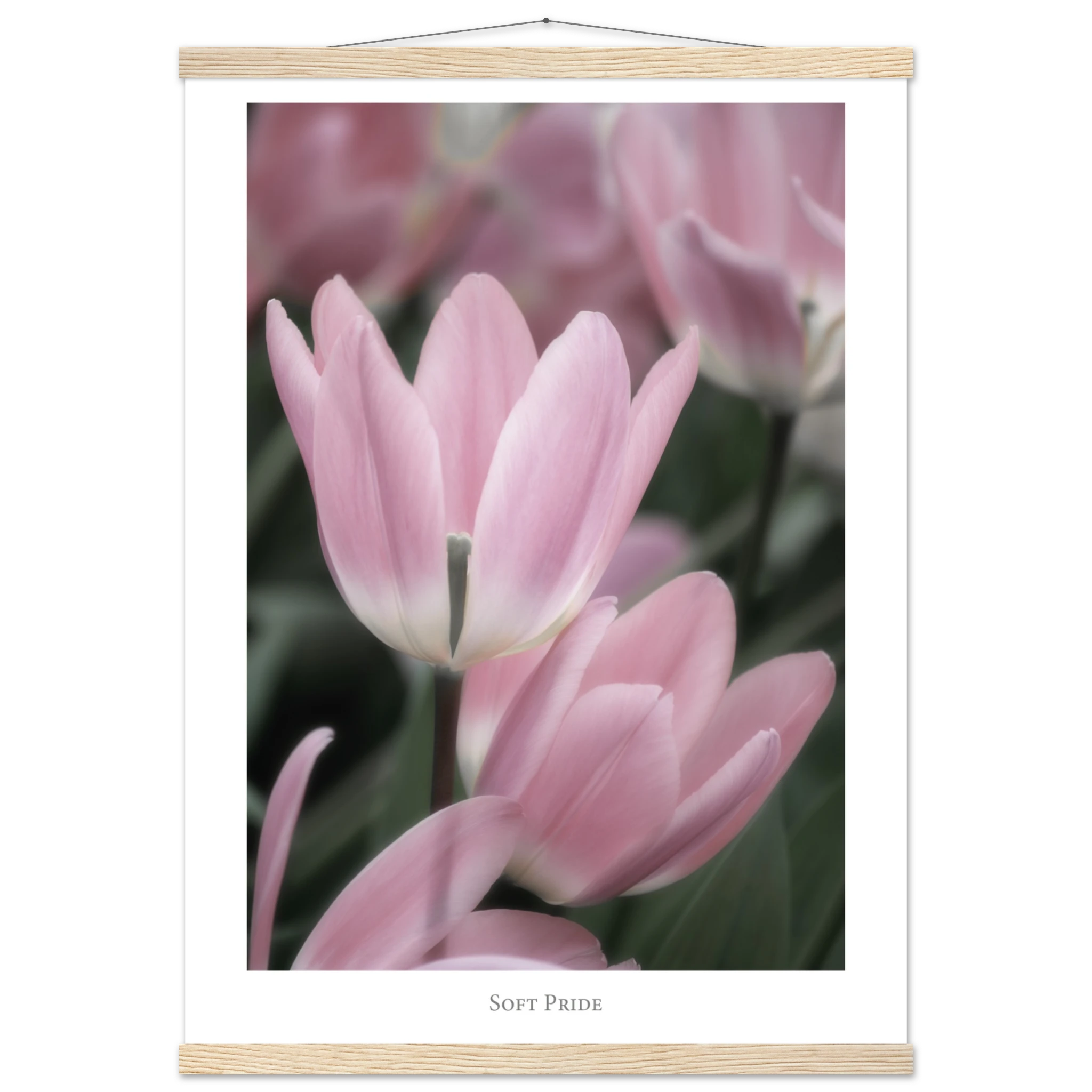 6523c854-aba9-4fa5-800e-eab200d53323