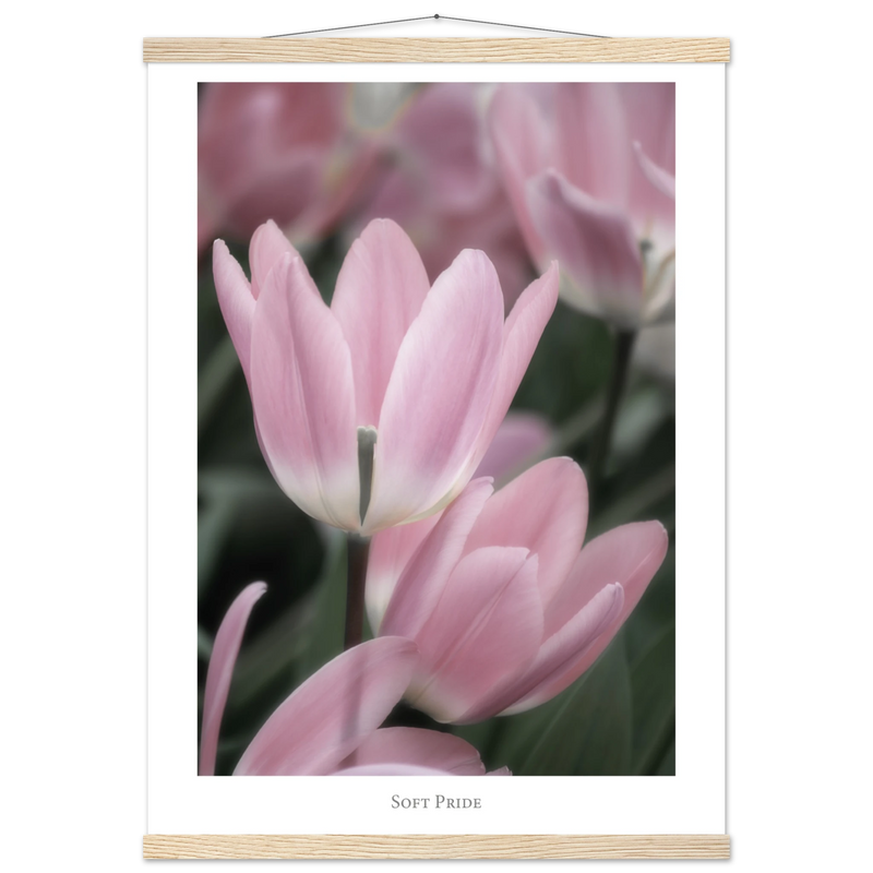 6523c854-aba9-4fa5-800e-eab200d53323