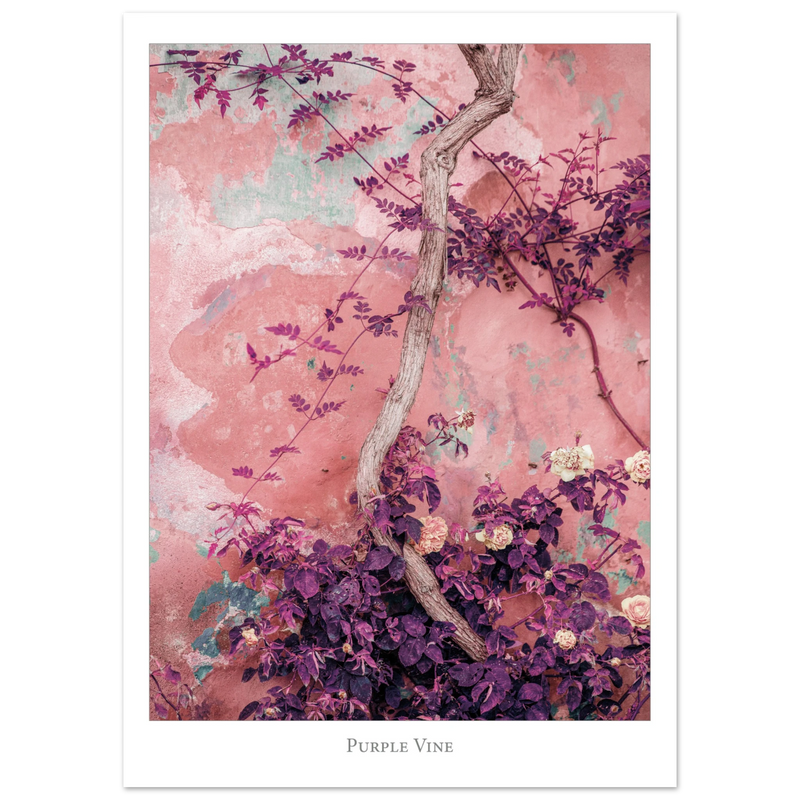 65cb4454-3c45-404f-8357-b5eecb7c303c