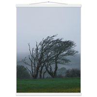 66076880-032d-46a7-9557-f011b3f11156