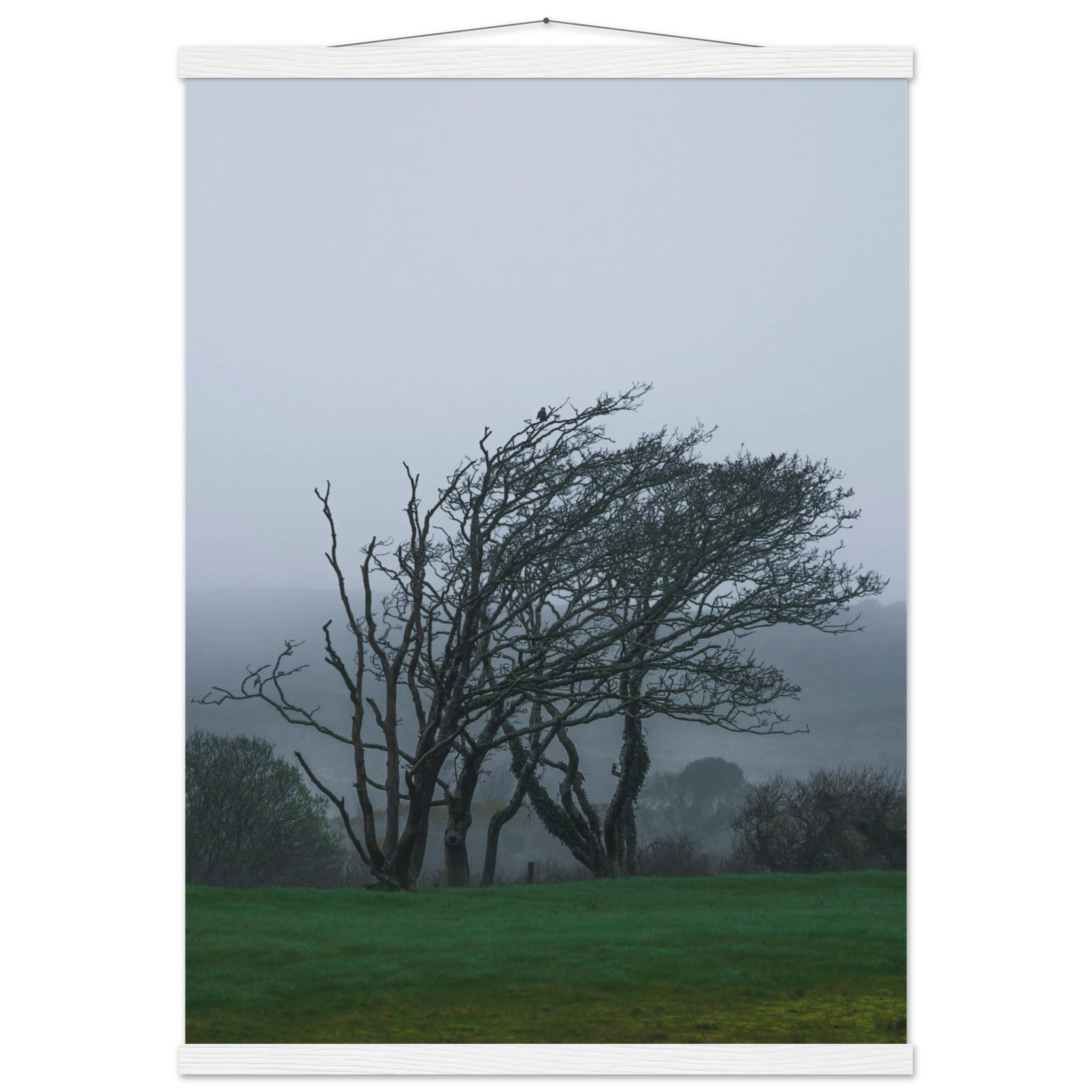 66076880-032d-46a7-9557-f011b3f11156