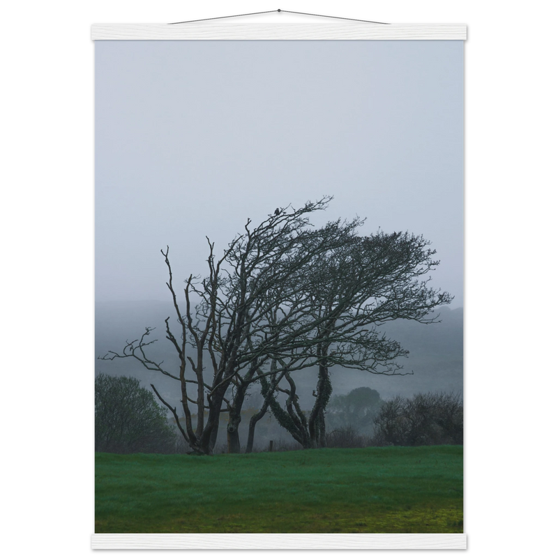 66076880-032d-46a7-9557-f011b3f11156