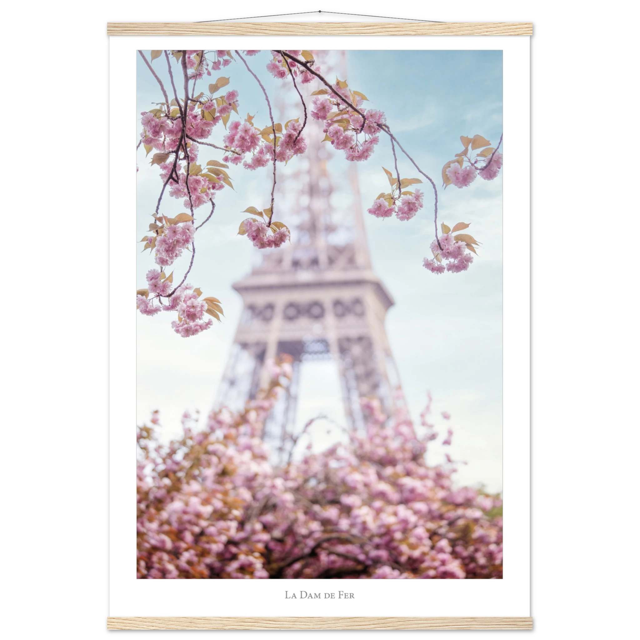 6607bf21-ba13-41f7-9462-60bda9fd243a