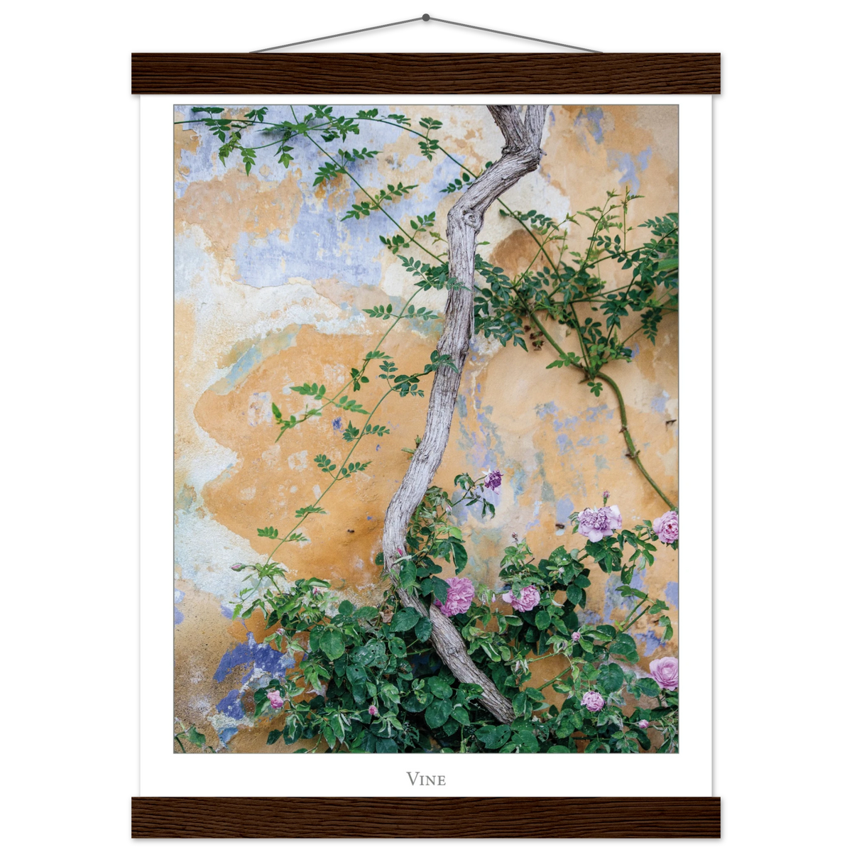 6659a84e-b8ce-4929-a6eb-4fbdb64e2d39