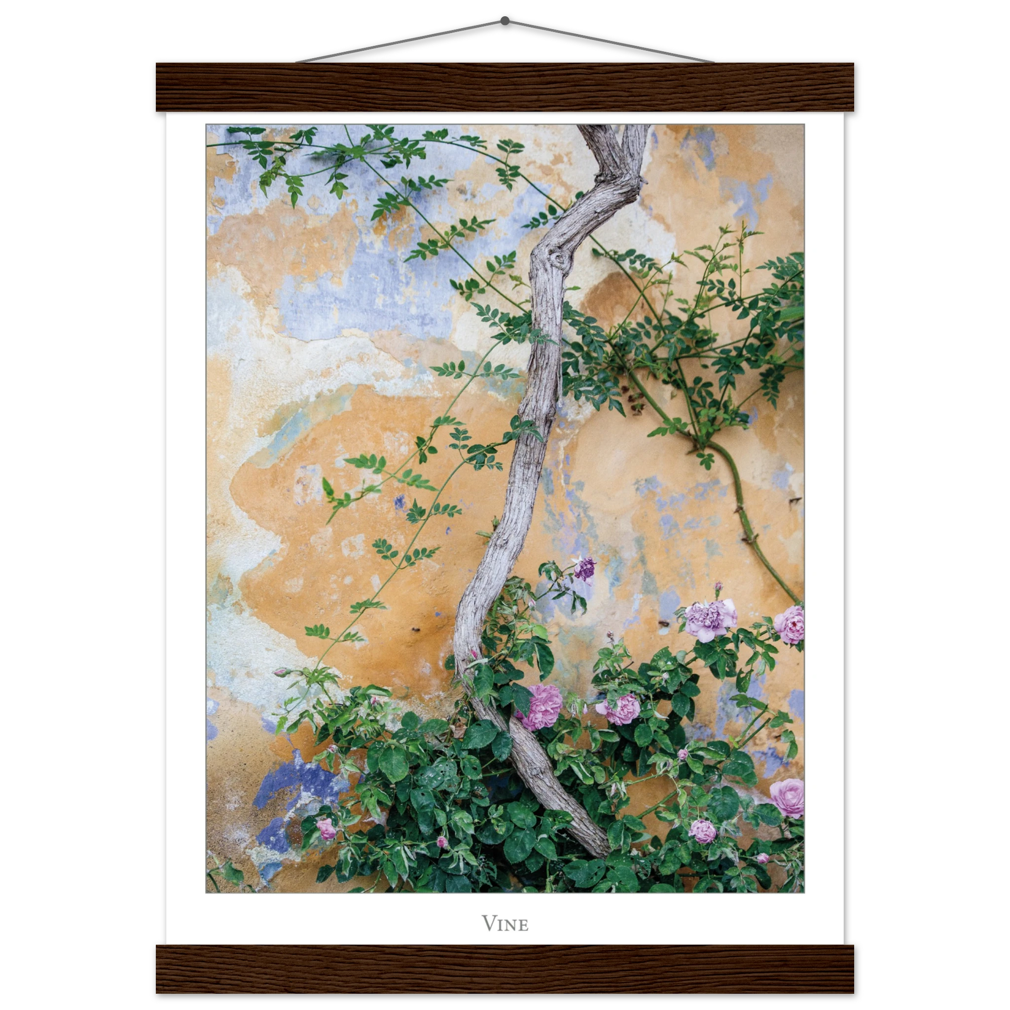 6659a84e-b8ce-4929-a6eb-4fbdb64e2d39