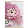66a4350c-4899-428e-b7e9-96a68ab9e19c