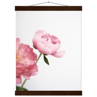 66b31335-b9f5-44ff-8092-a77ceb266634