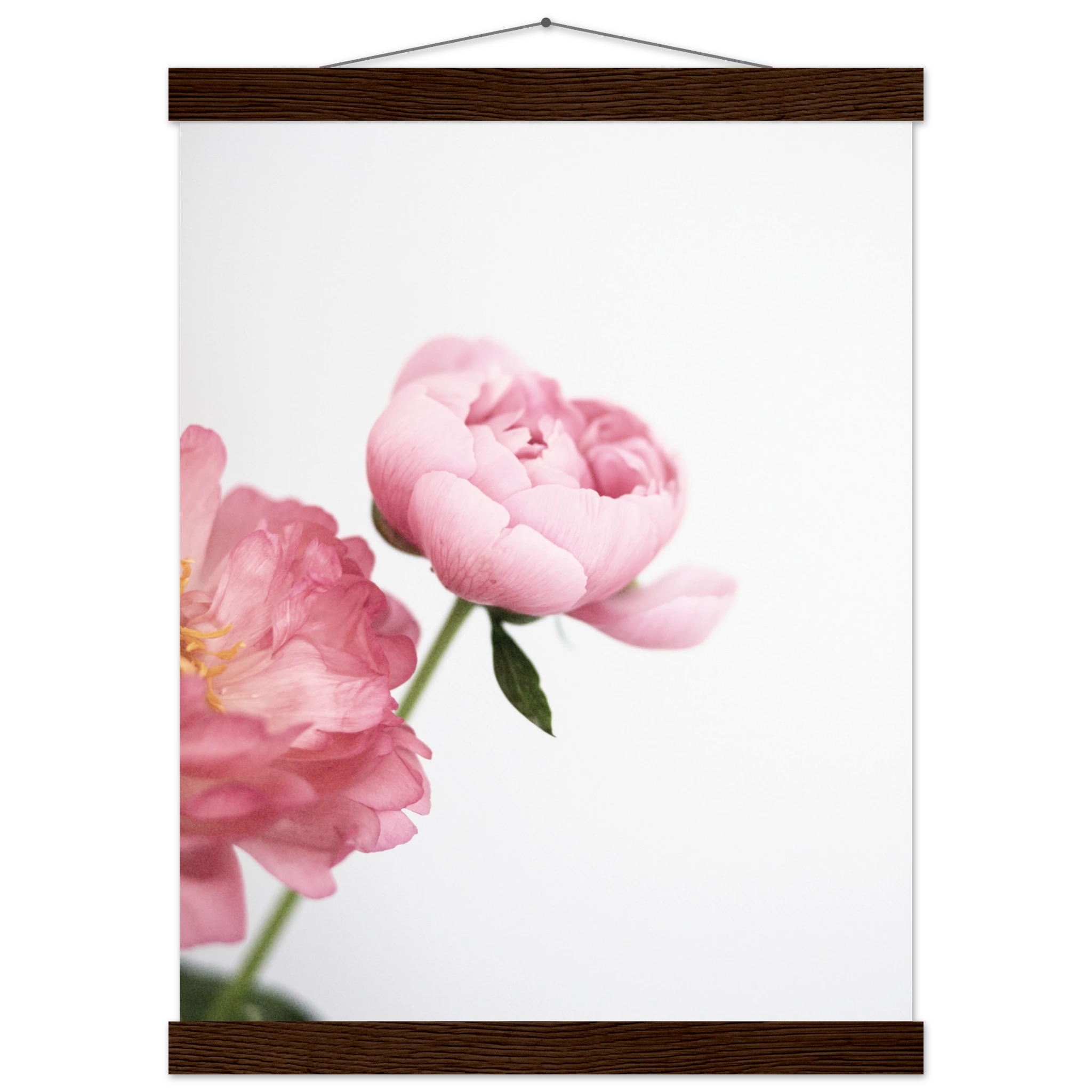 66b31335-b9f5-44ff-8092-a77ceb266634