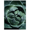 67283948-b49c-42c3-b129-55cf755d0260