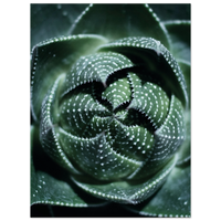 67283948-b49c-42c3-b129-55cf755d0260