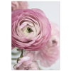 67766642-d0f9-4e62-84cc-2324f95a2843