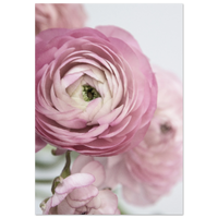 67766642-d0f9-4e62-84cc-2324f95a2843