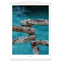 68868f2e-2a5a-494b-b67d-214b6fd79cd4