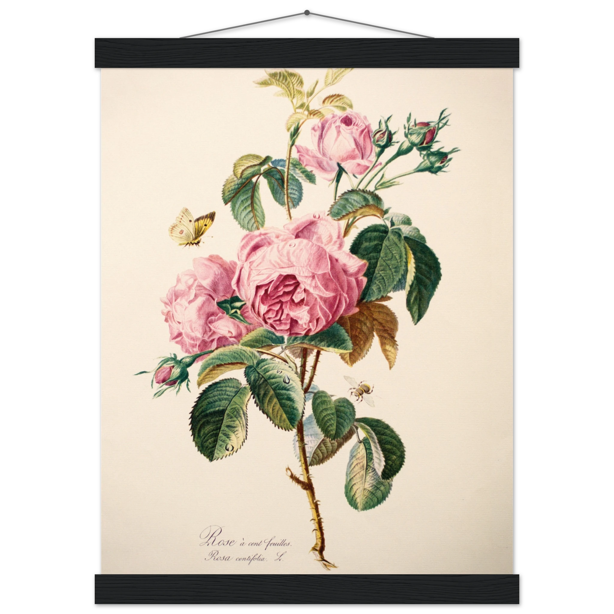 69aeda35-a585-4b34-9955-b530eb39ba16