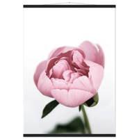 6adc5d25-ae22-4ff9-ab85-549ae97fd497