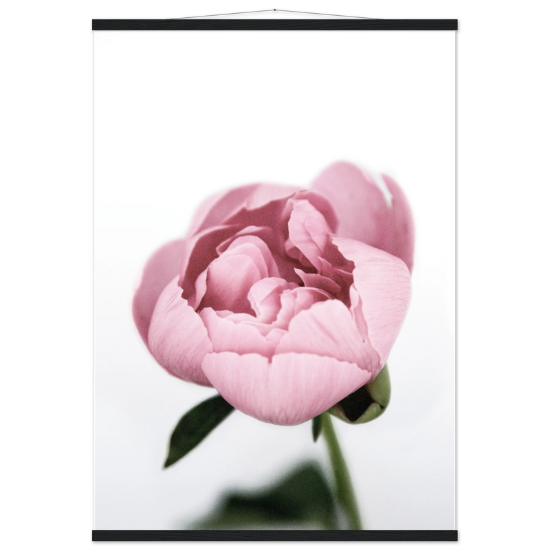 6adc5d25-ae22-4ff9-ab85-549ae97fd497