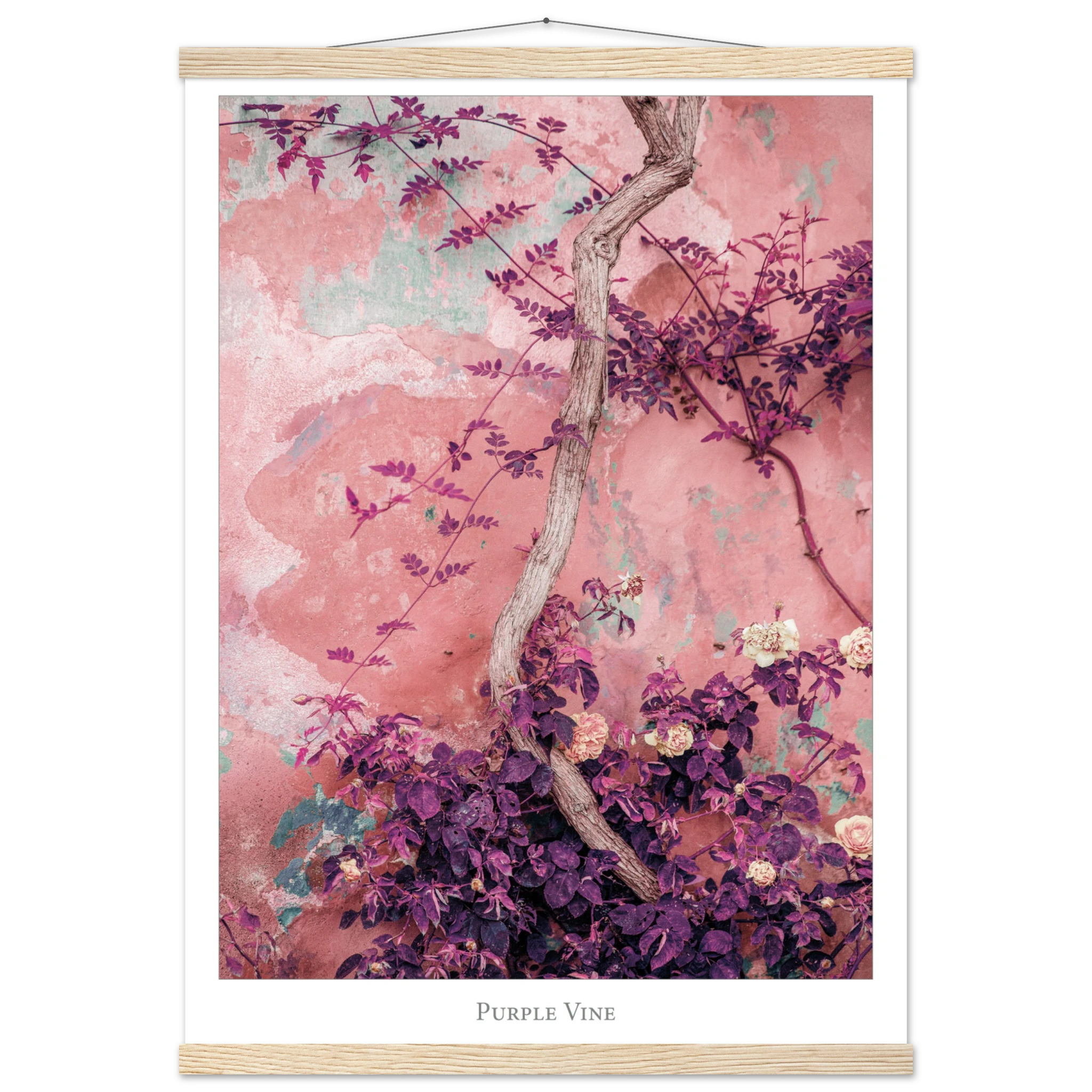 6b4b8f88-5c3e-48bd-a4bb-4caedb7fb560