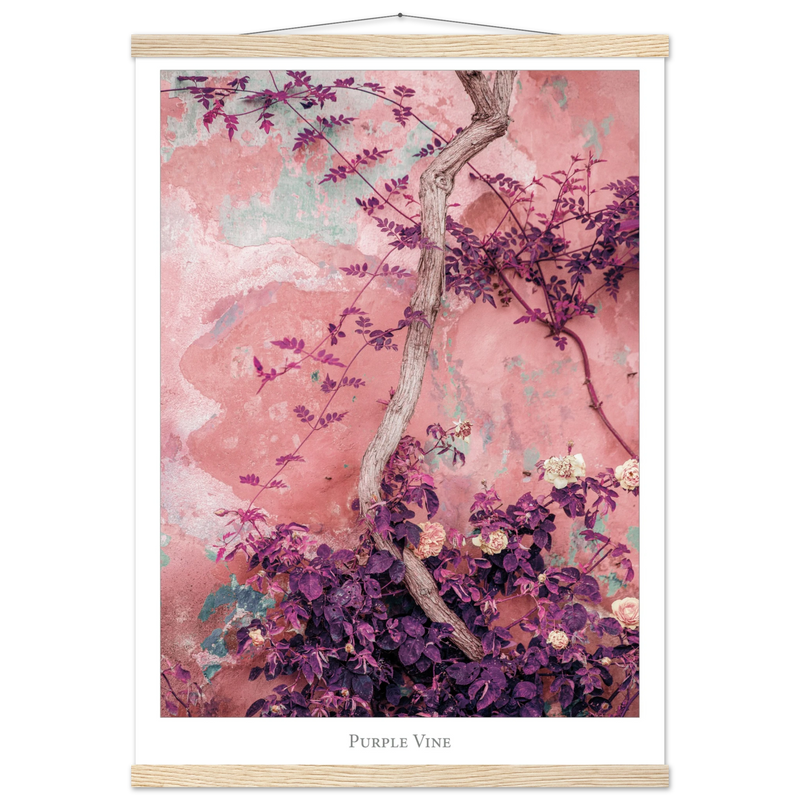 6b4b8f88-5c3e-48bd-a4bb-4caedb7fb560