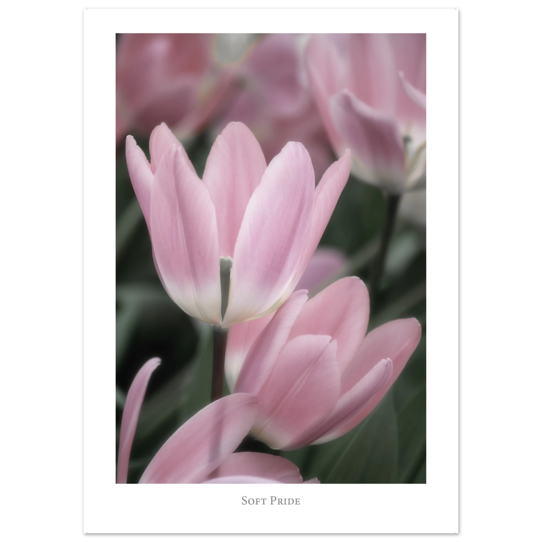 6bcafe8e-cf43-4a0b-984f-a1dcc7a5ac3d