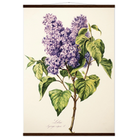 6c63e806-4aee-4280-ab3f-3269c92d7eb9