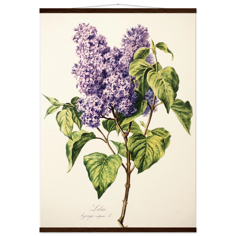 6c63e806-4aee-4280-ab3f-3269c92d7eb9