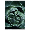 6e73e6b2-e545-4a23-a6ff-7f714d62417c