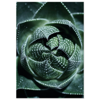 6e73e6b2-e545-4a23-a6ff-7f714d62417c