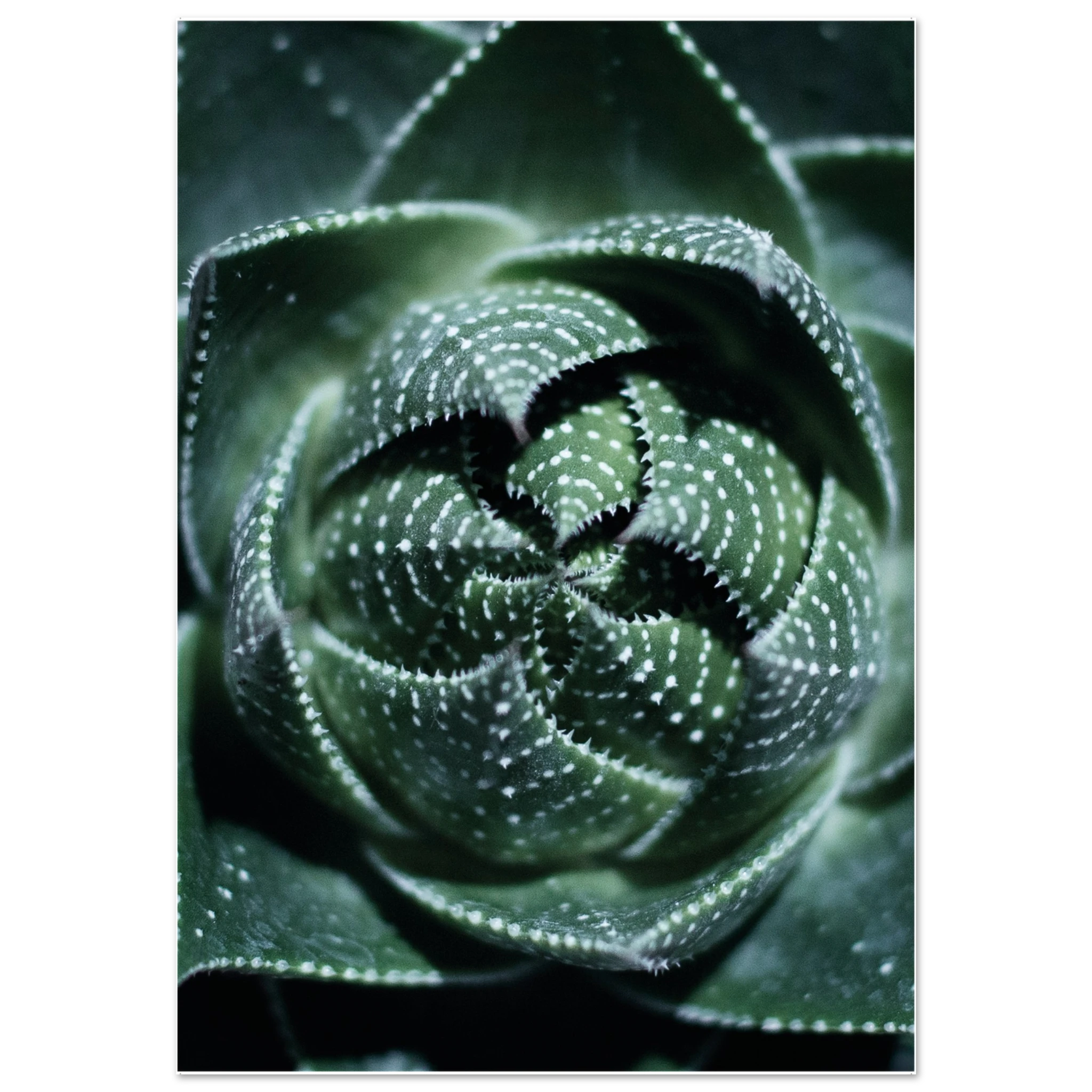 6e73e6b2-e545-4a23-a6ff-7f714d62417c