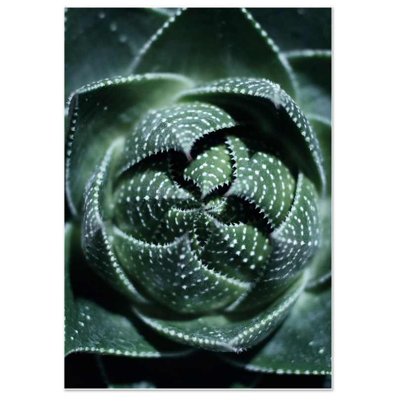6e73e6b2-e545-4a23-a6ff-7f714d62417c