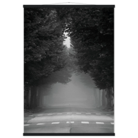 6e7798b4-8813-4d39-921e-cd51e02e3d7e