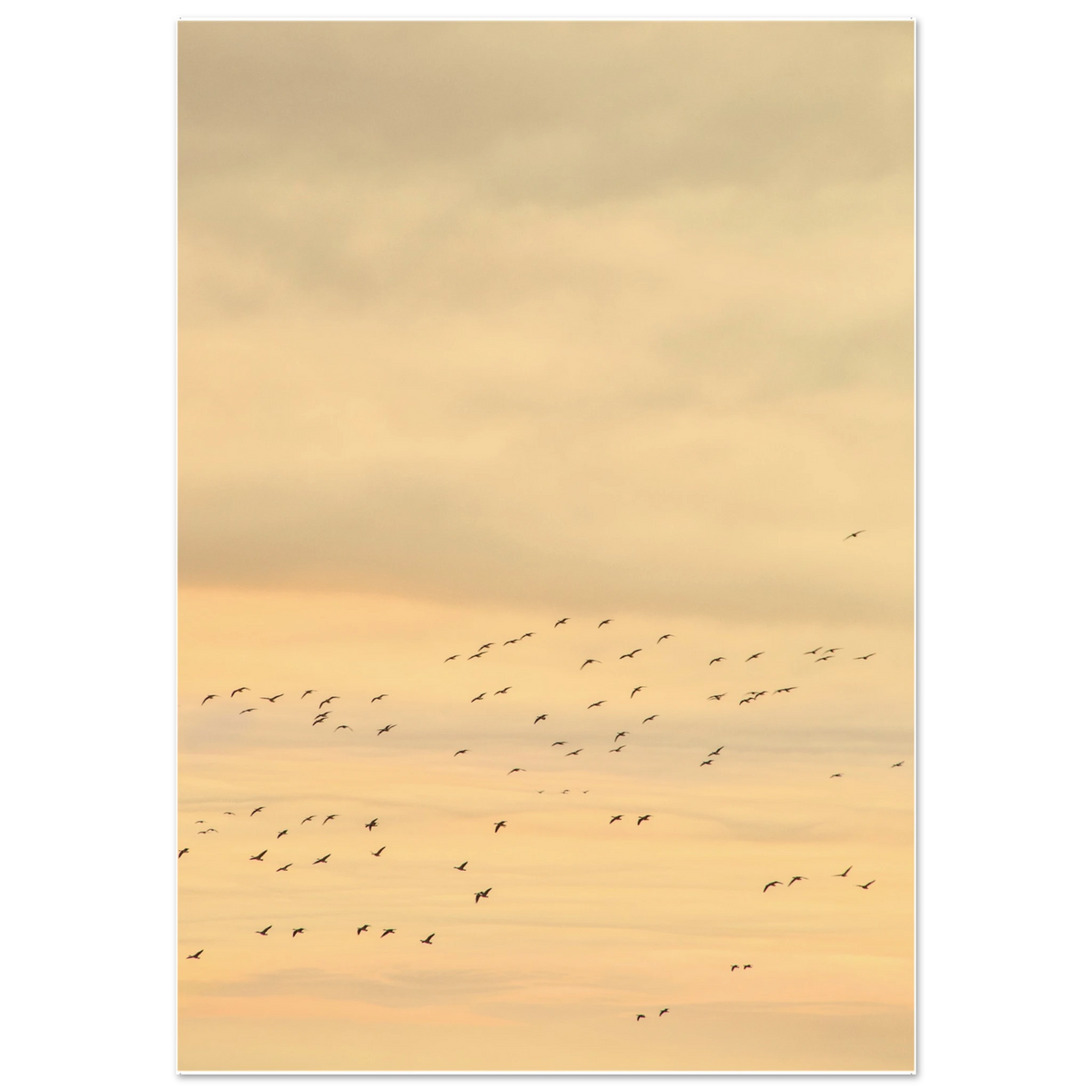 6f978076-a3dc-4429-a224-f52b3e7142af
