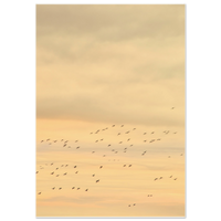 6f978076-a3dc-4429-a224-f52b3e7142af