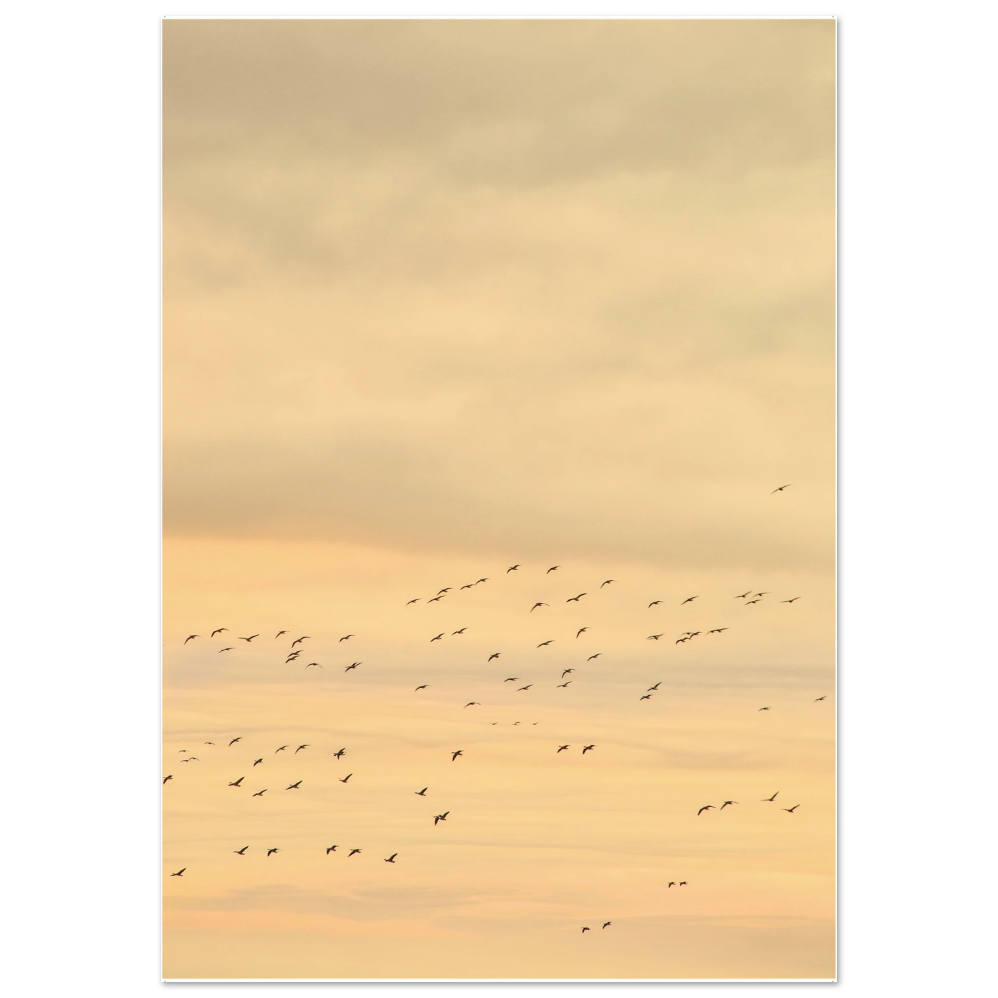 6f978076-a3dc-4429-a224-f52b3e7142af