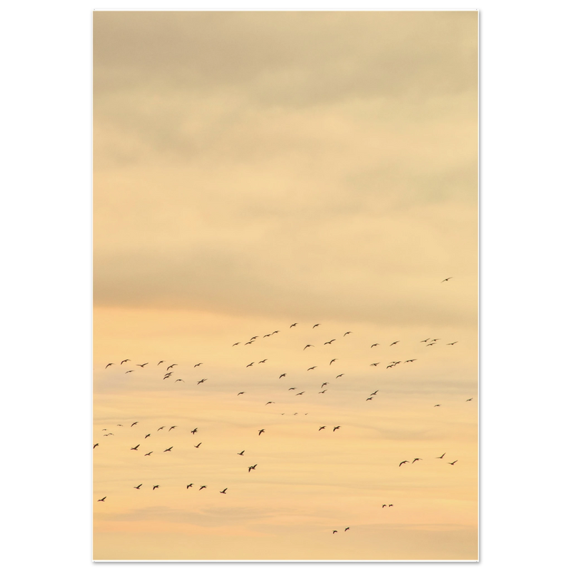 6f978076-a3dc-4429-a224-f52b3e7142af