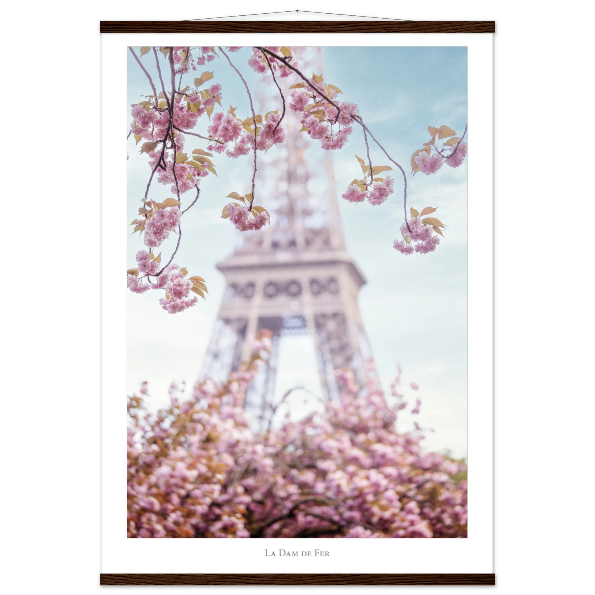 6faf8530-a4ed-447d-99e5-fd796af7ef12