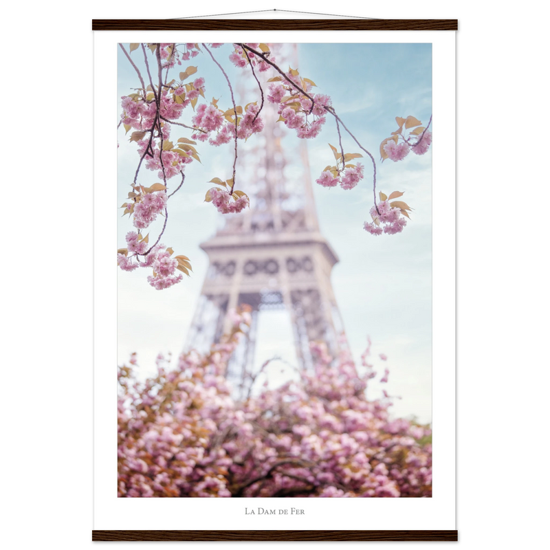 6faf8530-a4ed-447d-99e5-fd796af7ef12