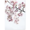 6fba8674-006f-4fb2-a272-e7334889b1ca