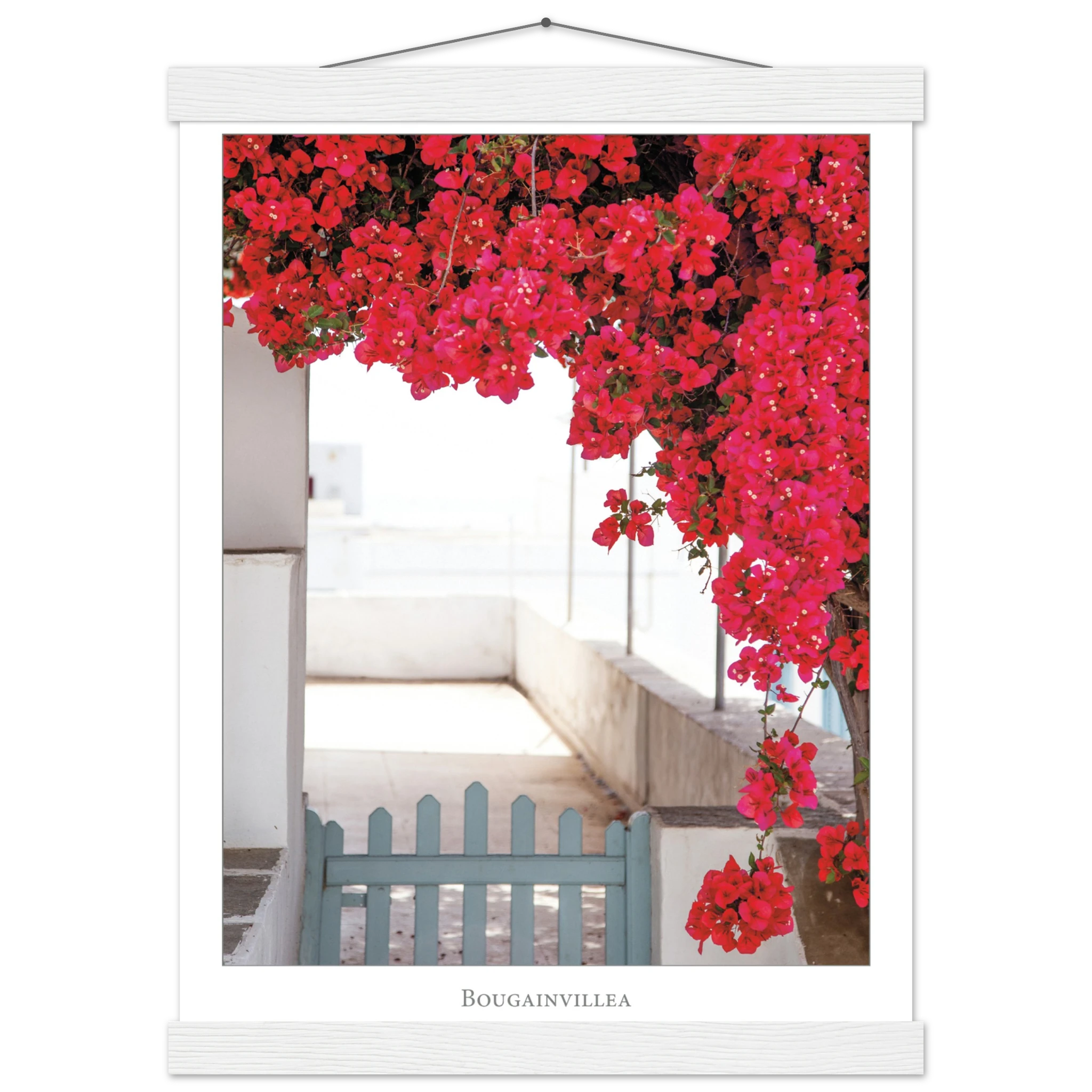 707348f1-eca0-4bf7-9626-06e5aab18b70