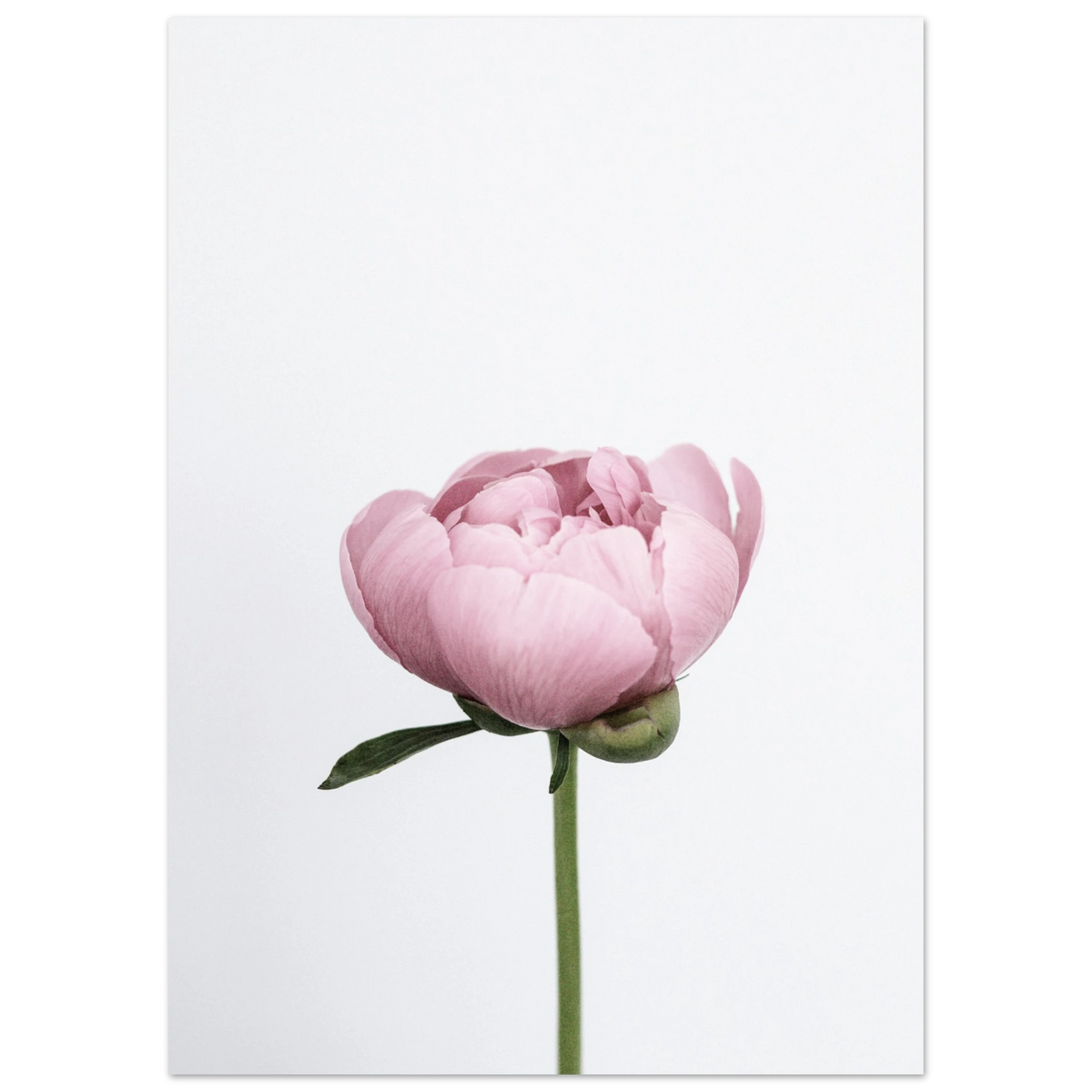 70cbad49-c569-4f6c-8f01-b3a3fb53c681