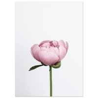 70cbad49-c569-4f6c-8f01-b3a3fb53c681