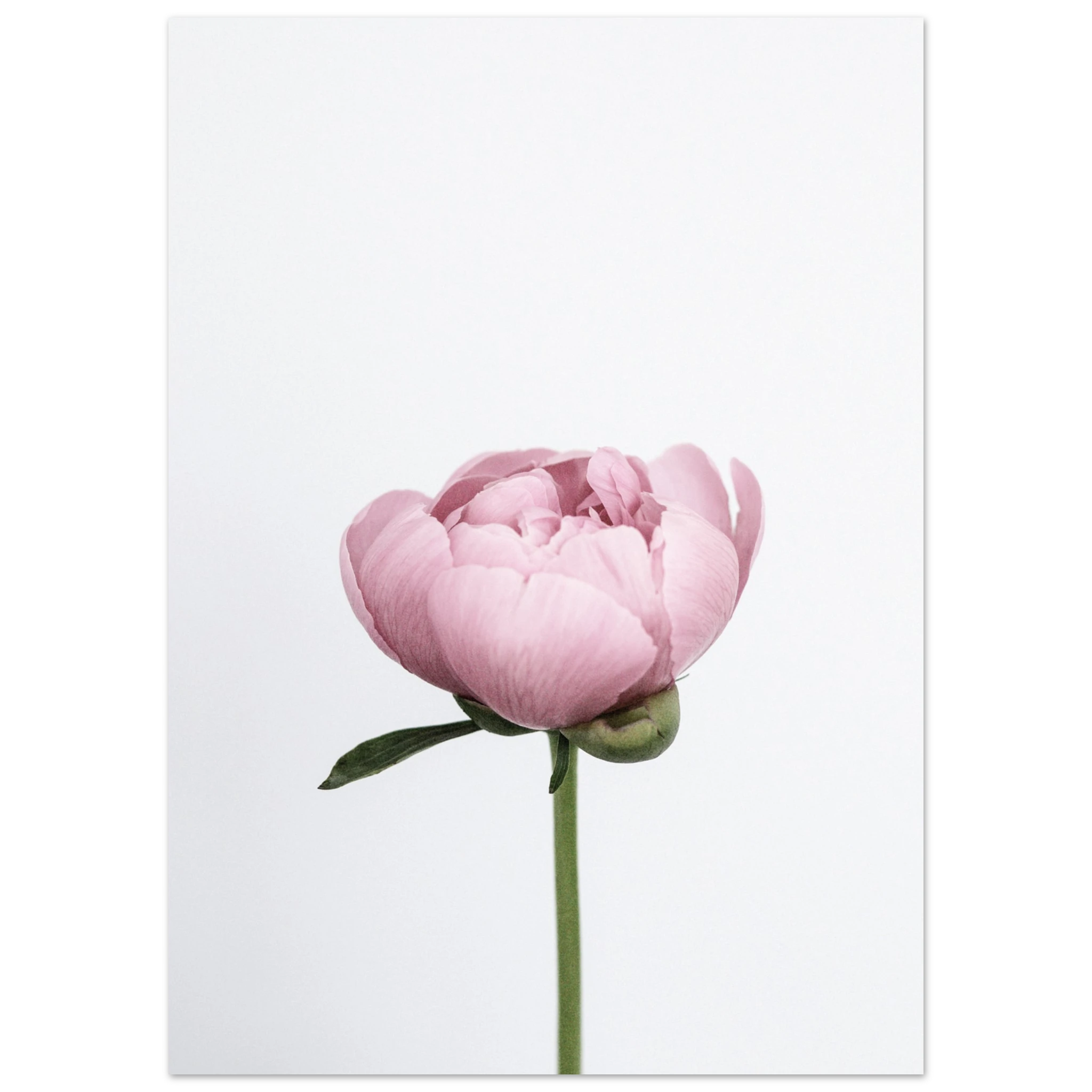 70cbad49-c569-4f6c-8f01-b3a3fb53c681